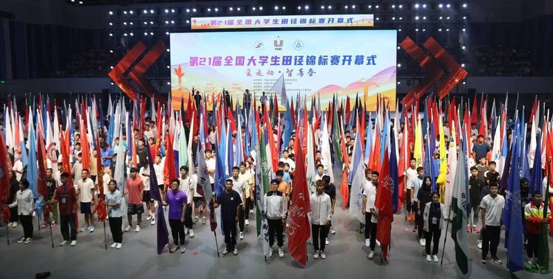 678体育官方指定端