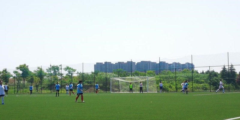 678体育欧洲杯